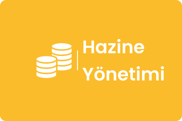 Hazine Yönetimi