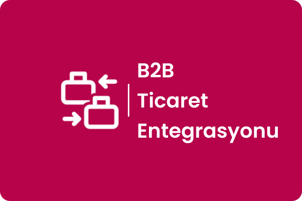 B2B Ticaret Entegrasyonu